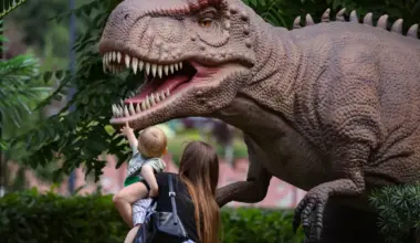 Scientists Discover 210-million-year-old Dinosaur in Zimbabwe