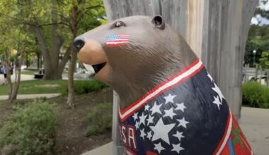 Someone Destroyed This US- Themed Beaver in Toronto Park