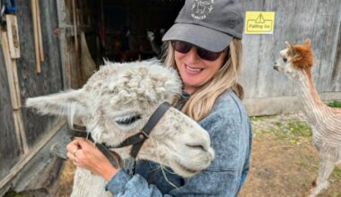 Five animal stops to add to your northeastern Ontario summer drive