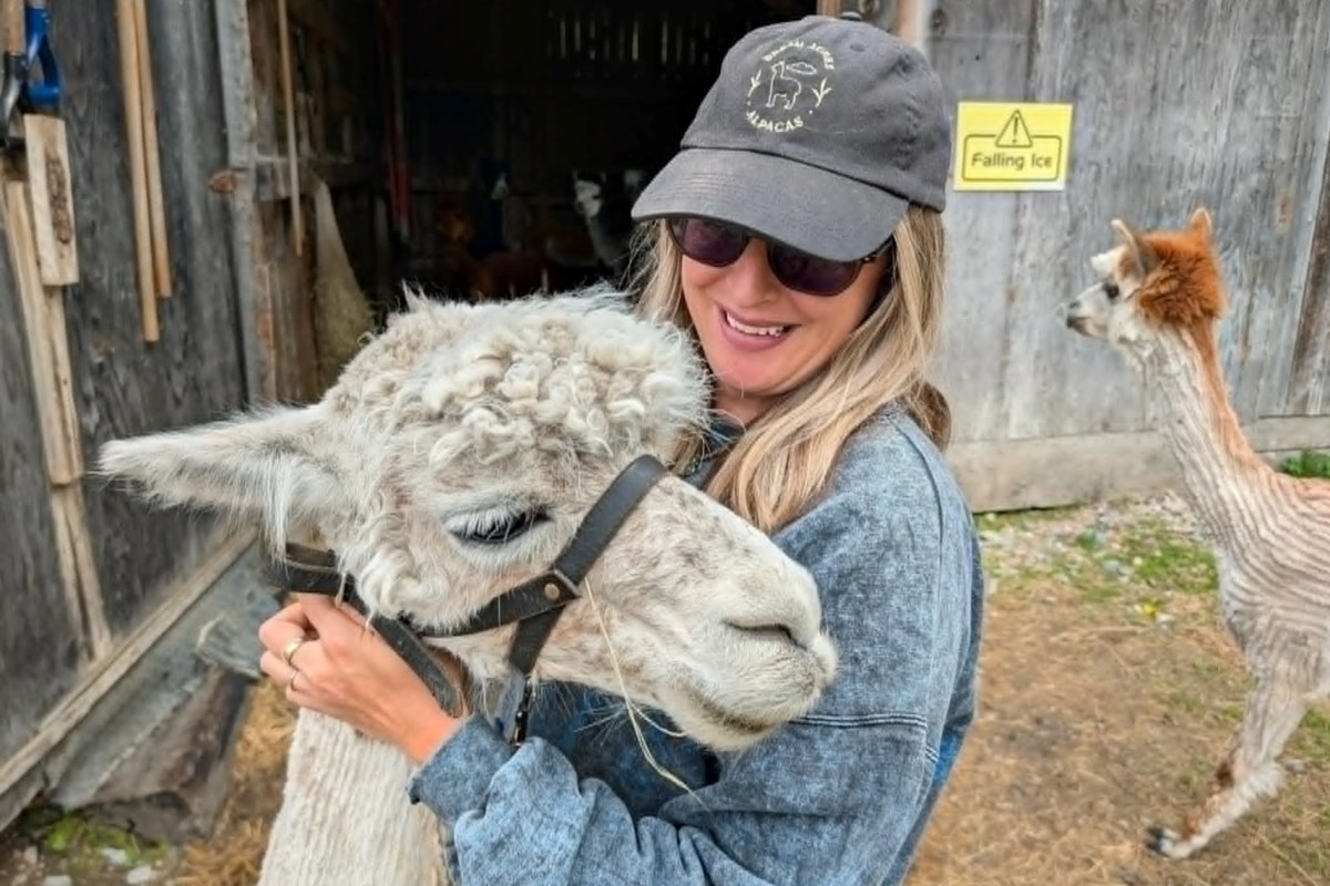 Five animal stops to add to your northeastern Ontario summer drive