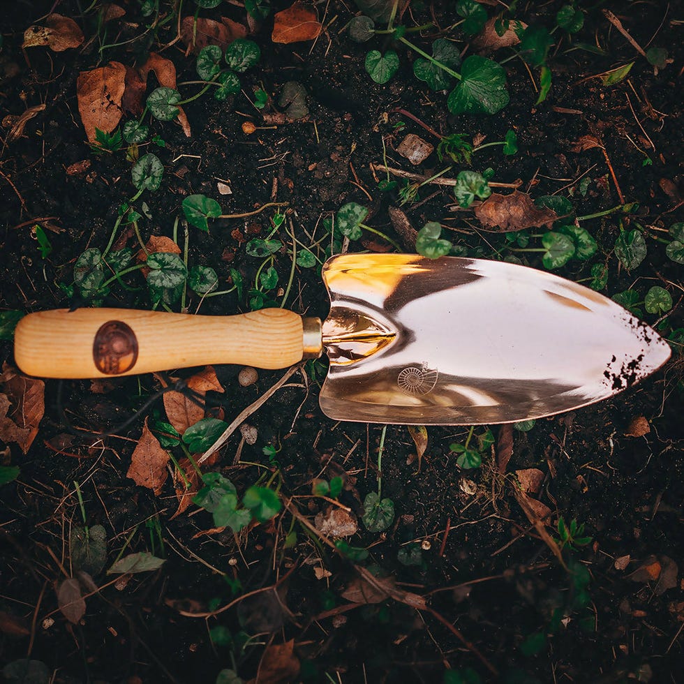 Castor - Classic Garden Trowel