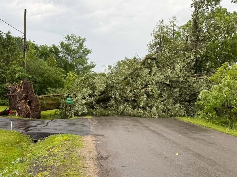 A fallen tree shuts down access to Peters road in South Frontenac, Ont. on Monday afternoon.
