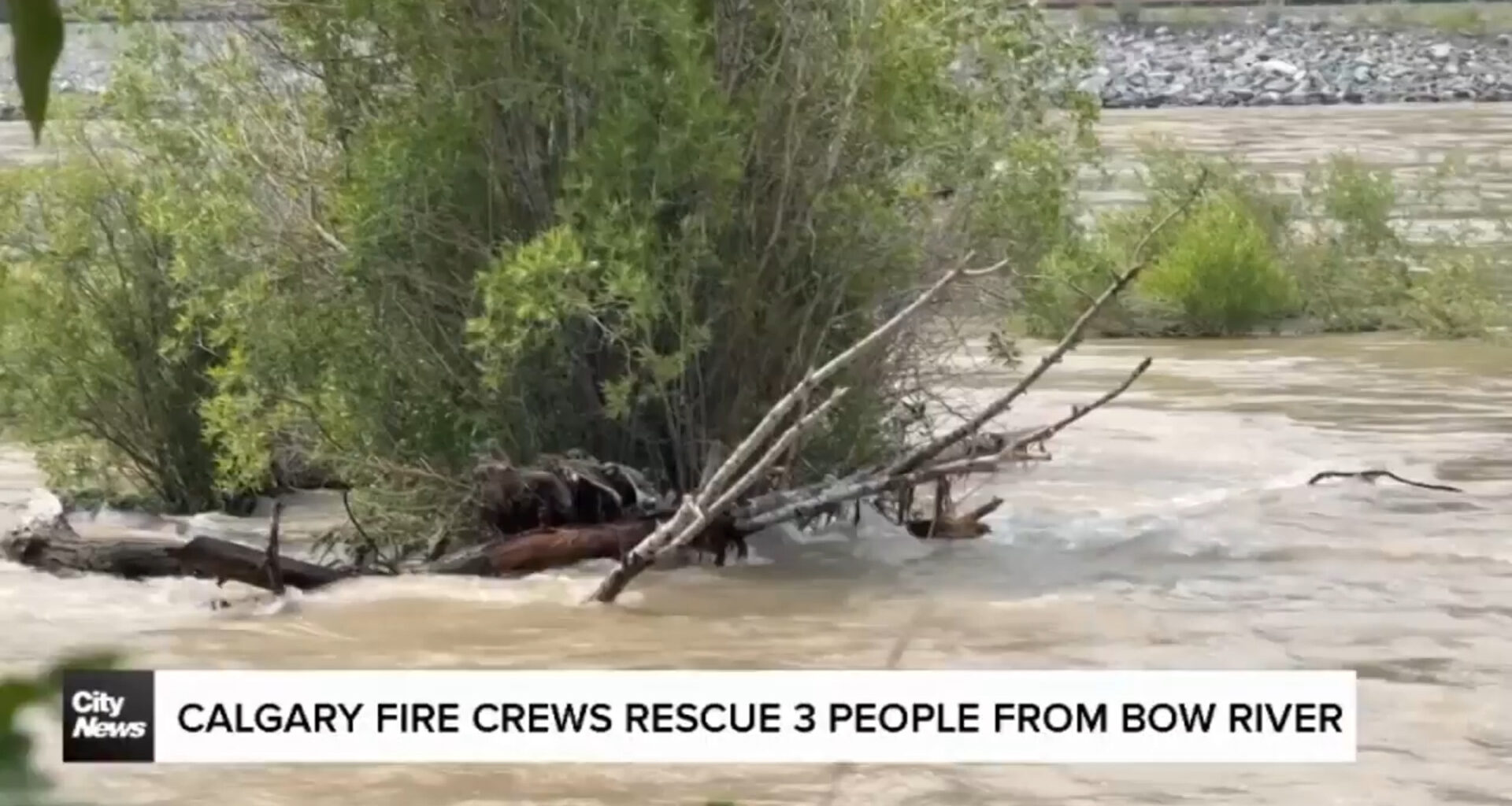 Calgary fire crews rescue 3 people from Bow River