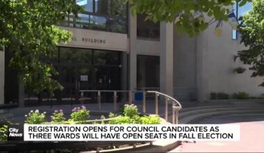 Meeting the new candidates running for three open seats on Winnipeg council