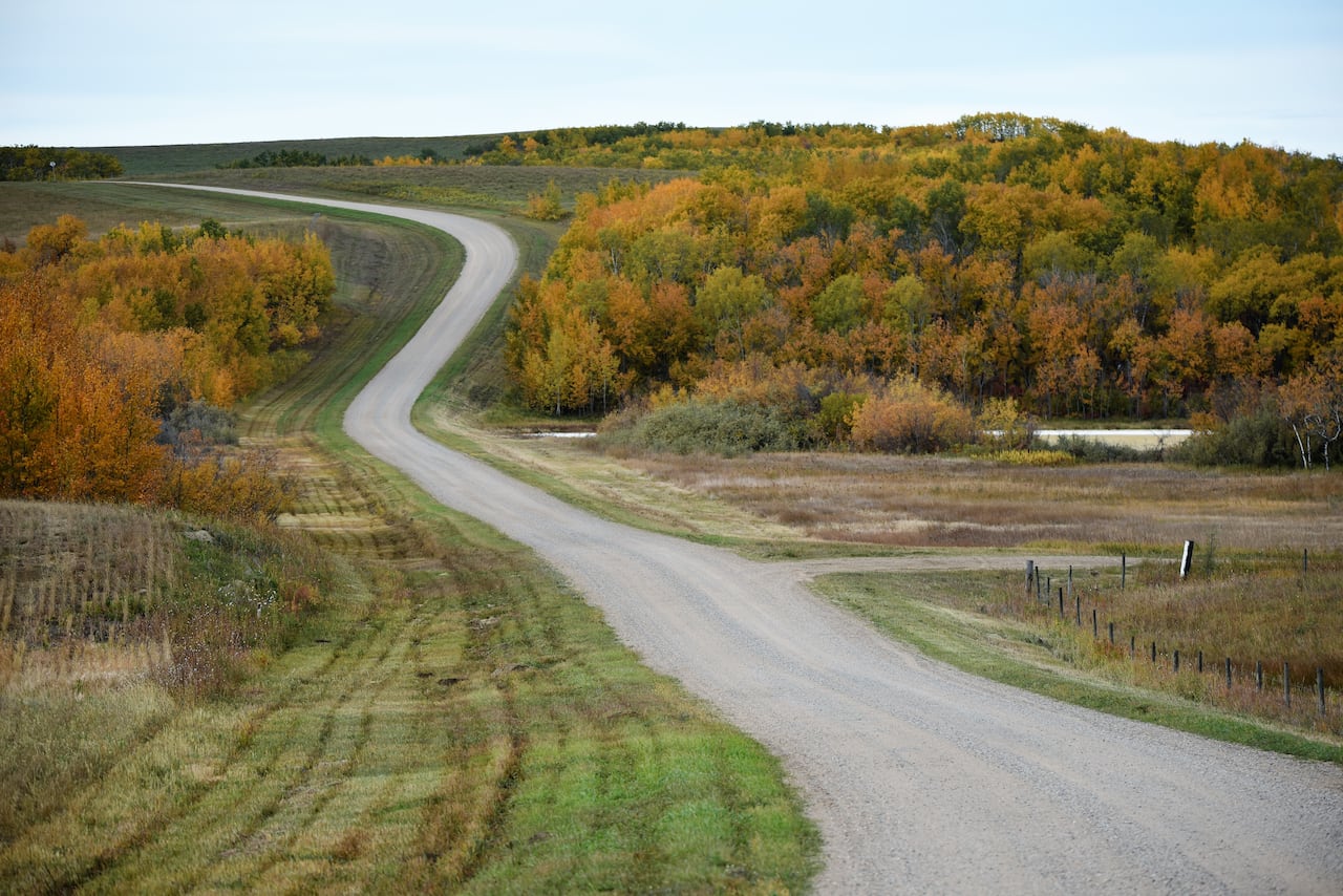 A gravel road cuts through a hill area with trees in fall colours.