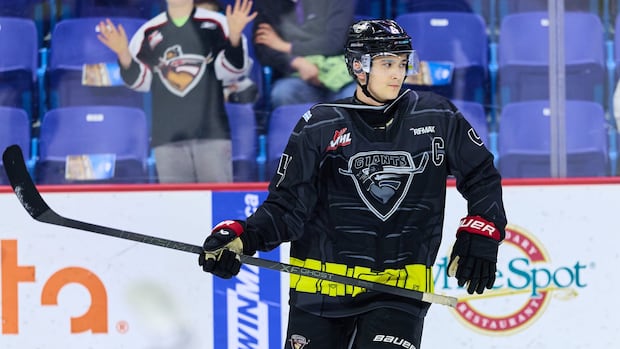 Vancouver Giants to move to Surrey as city announces 10,000-seat arena