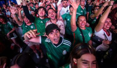 Mexican soccer fans celebrate advancing in the World Cup by wailing on each other in impromptu boxing match
