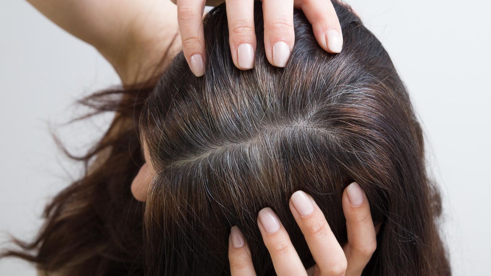 Why Do Humans Have Grey Hair? A Biologist Explains What’s Happening
