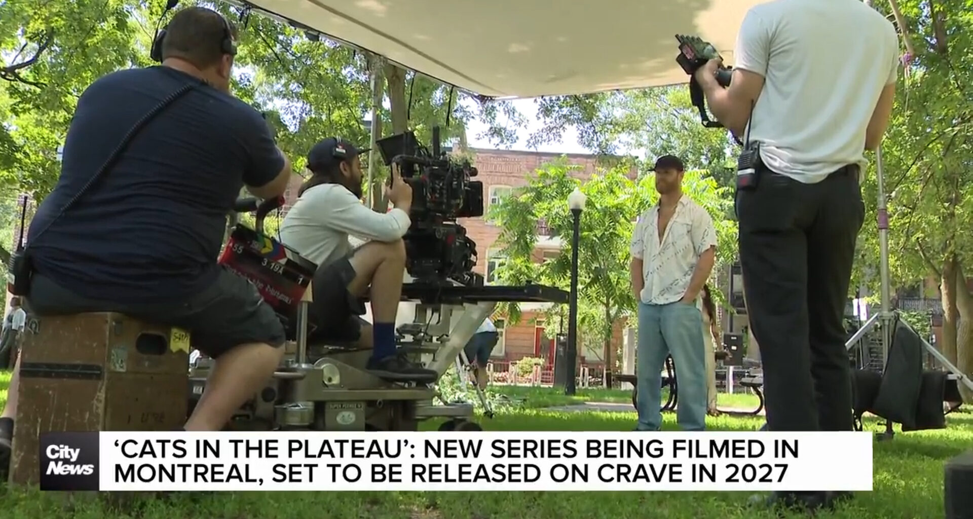 ‘Cats in the Plateau’: New series being filmed in Montreal