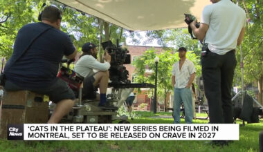 ‘Cats in the Plateau’: New series being filmed in Montreal