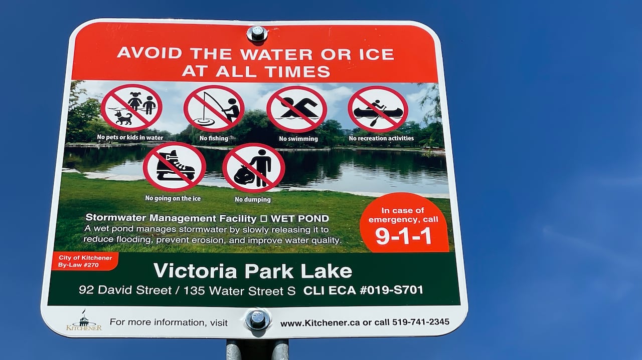 Sign says going in the water for any reason, including fishing, boating, swimming or skating, is prohibited.