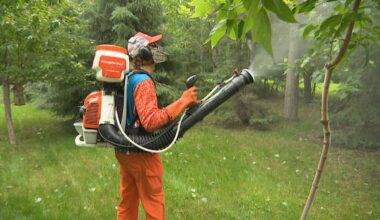 Recent rainfall fuels surge in mosquito numbers in Winnipeg