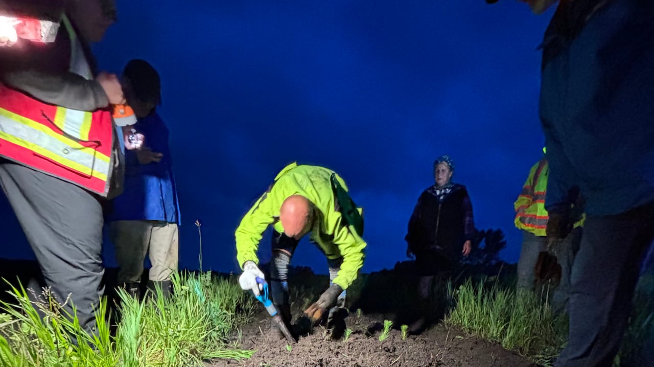 Kenny Chaplin at the planting site in Buena Vista, Sask.