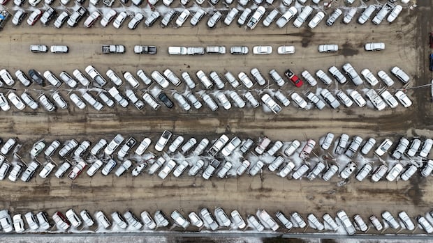 City of Edmonton opens tow lot spaces to deal with hundreds of abandoned vehicles