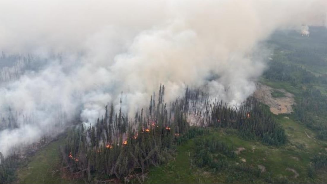An aerial photo of a wildfire.
