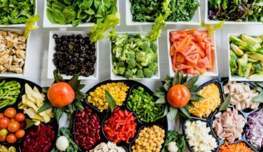 Edinburgh University scientists prove sustainable eating does not increase grocery bills