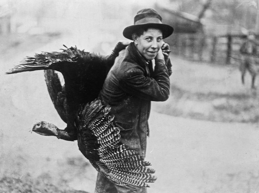 A man carries home his Thanksgiving turkey, sometime between 1910 through 1915.