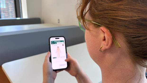 How does virtual care fit into New Brunswick’s health system?