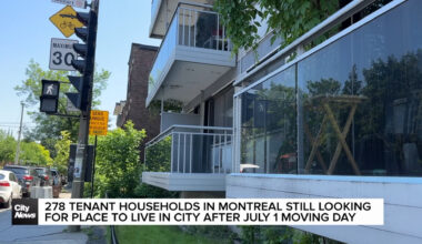 278 Montreal households still searching for housing after Moving Day