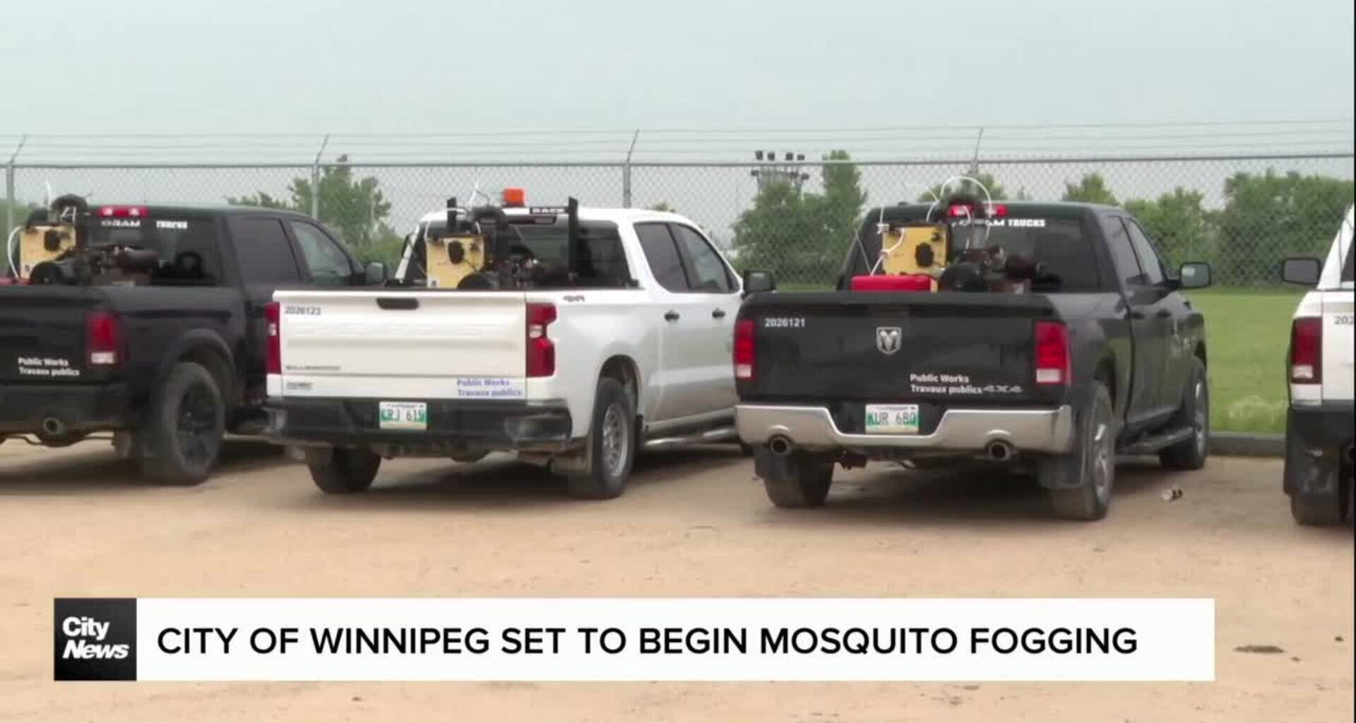 Mosquito fogging to begin across Winnipeg Saturday evening