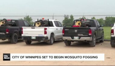 Mosquito fogging to begin across Winnipeg Saturday evening