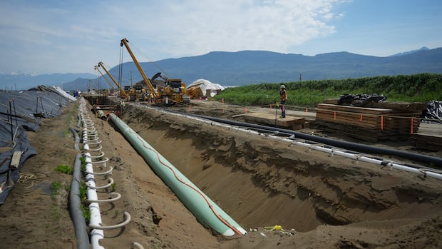 New oil pipeline proposal raises hopes and concerns in B.C.'s Interior