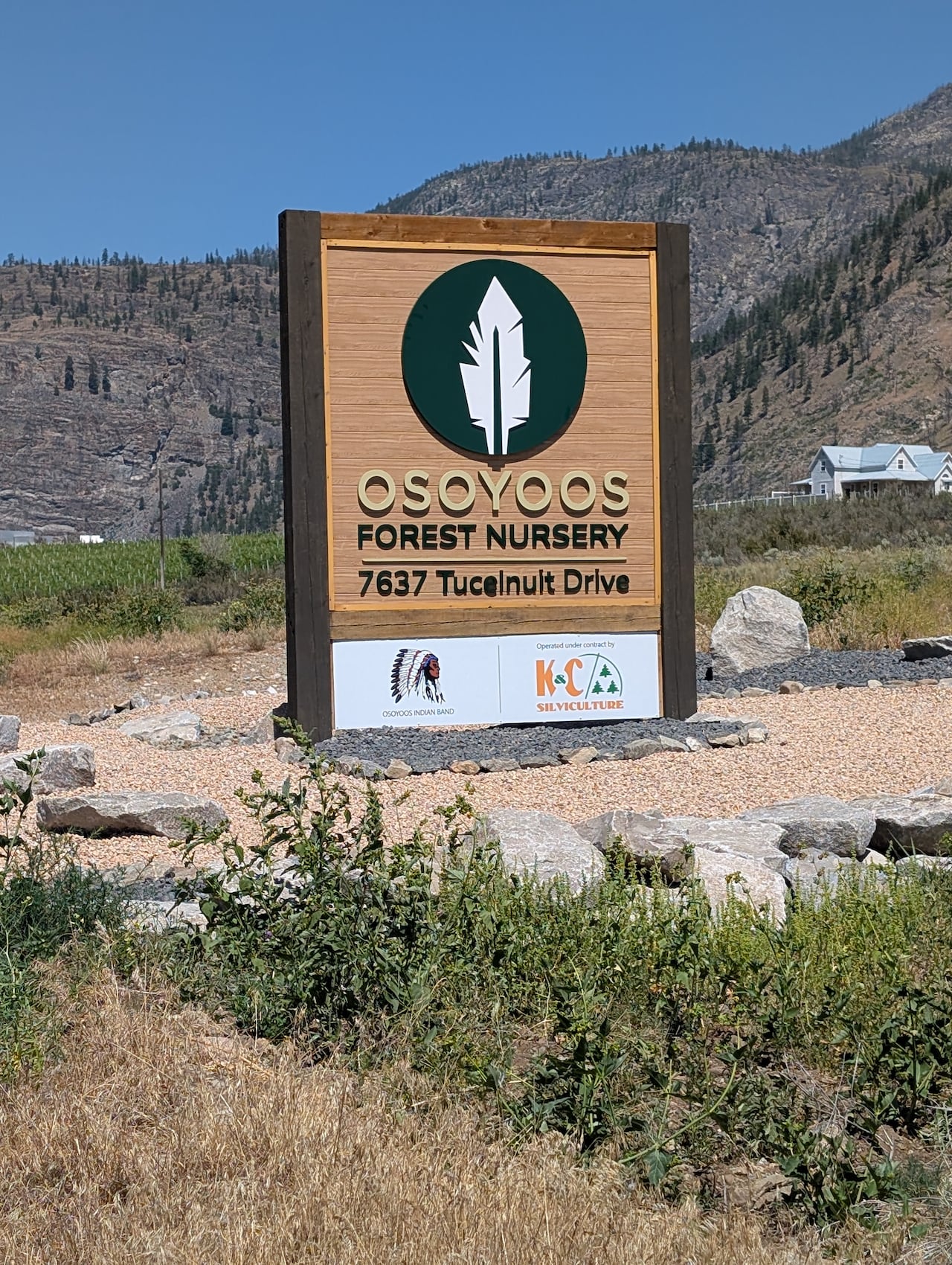 A brown sign with Osoyoos Forest Nursury written on it. A vineyard is in the background.