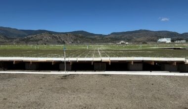 How a First Nation in B.C. is hoping to restore wildfire-ravaged forests with seedlings