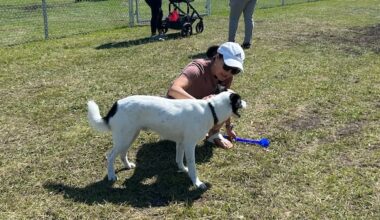 New Winnipeg dog park includes separate small dog off-leash area