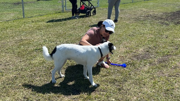 New Winnipeg dog park includes separate small dog off-leash area