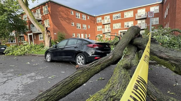 Councillors, MPPs call for help from province after Canada Day deluge