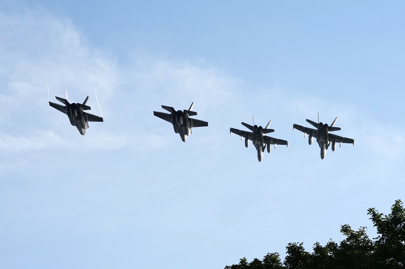 Canadian, American air forces conduct joint flypast in Ottawa for Fourth of July
