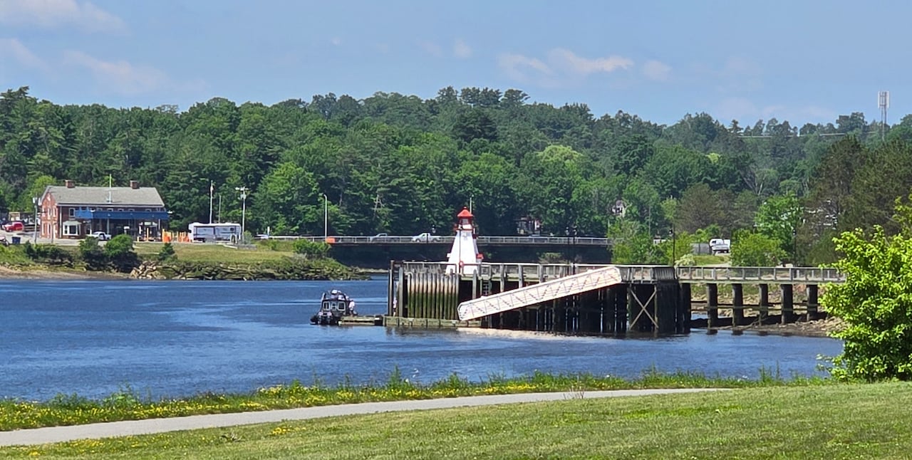 A lighthouse stands in the distance across a body of water. In the background is a forest, a bridge and a building.