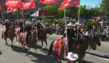 2026 Calgary Stampede parade in photos – CTVNews