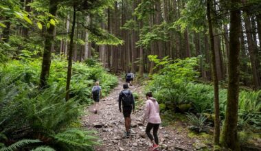 Metro Vancouver outside workers at regional parks walk off the job indefinitely