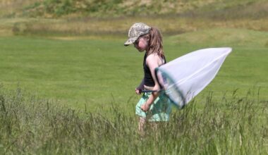The R&A Launches BioBlitz Toolkit to Assist Golf Clubs in Supporting Biodiversity