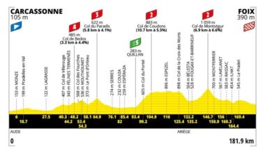 Tour de France Stage 4 Preview: The First Fully French Day of 2026