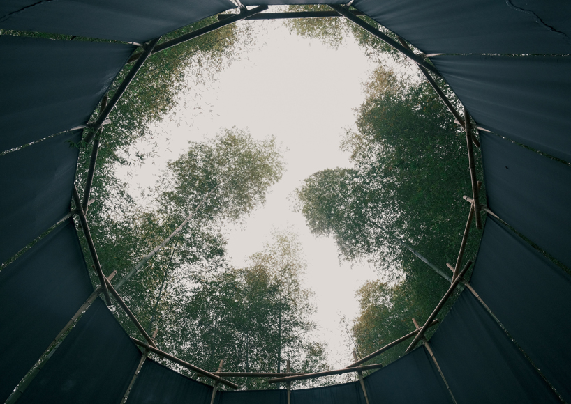 a black fabric veil hovers within a raw bamboo matrix in hubei's dense grove - 2