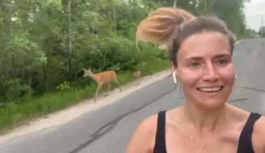 Daily run for Kenora, Ont., resident turns into magical dash with a doe and fawn