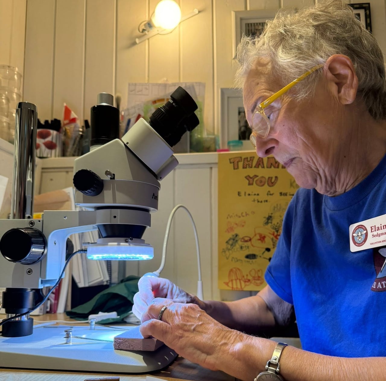 A woman with short white-grey hair uses a microscope.