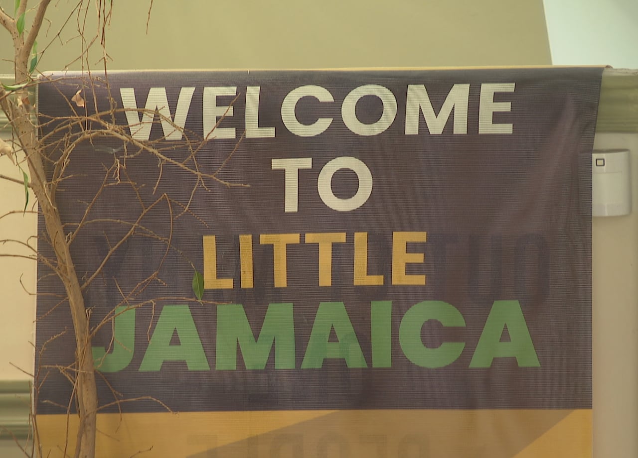 CAS WEINGARTEN TASTE OF LITTLE JAMAICA SEQ_frame_7346