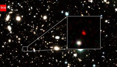 Where did the universe's oldest star clusters come from? A new study has an answer |
