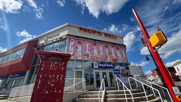 Edmonton city council passes Pacific Mall rezoning to allow for mid-rise and high-rise mixed use