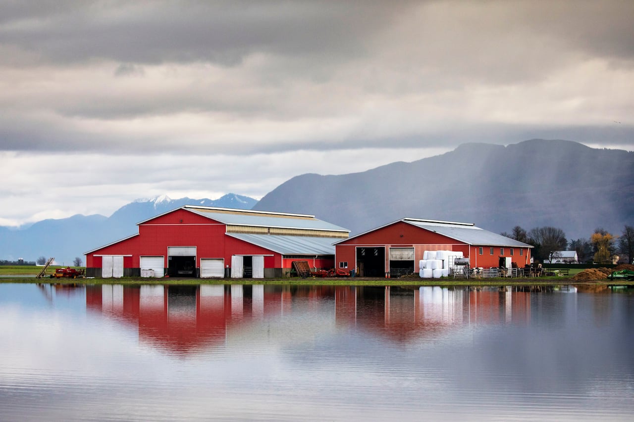 Two red barns sitting in a waterlogged field with mountains in the background.