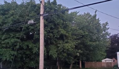 Dartmouth couple pushes back against tree removal from property