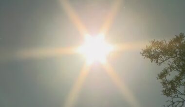 Heat dome building over U.S. to push scorching temperatures into Canada - CTV News