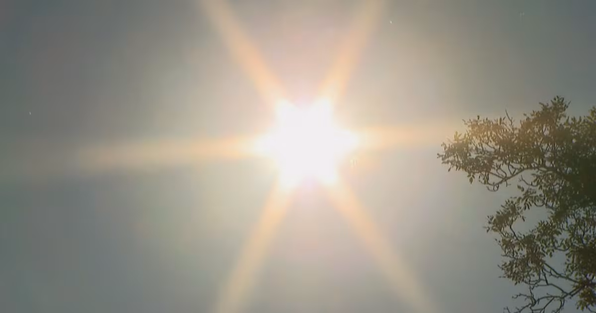 Heat dome building over U.S. to push scorching temperatures into Canada - CTV News
