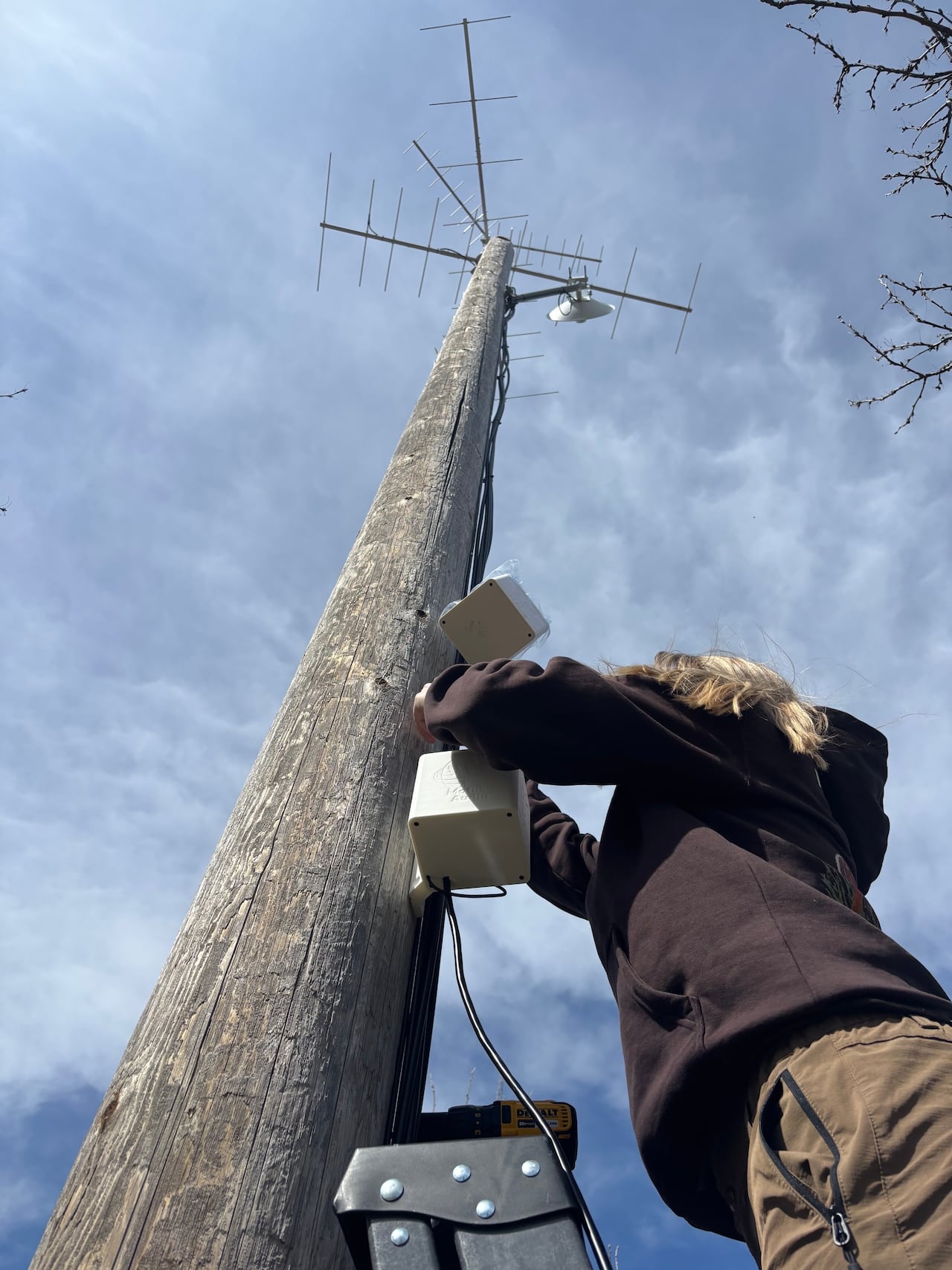 Madison Bygrove works to install recording devices on a pole at the Weyburn, Sask., wildlife centre.