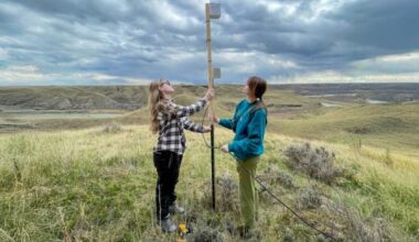 Canada-wide nocturnal bird sound migration tracker takes flight