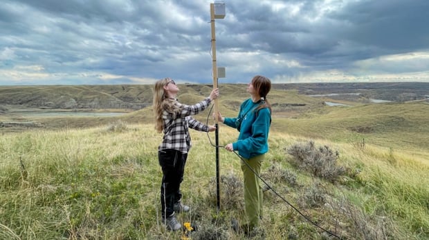 Canada-wide nocturnal bird sound migration tracker takes flight